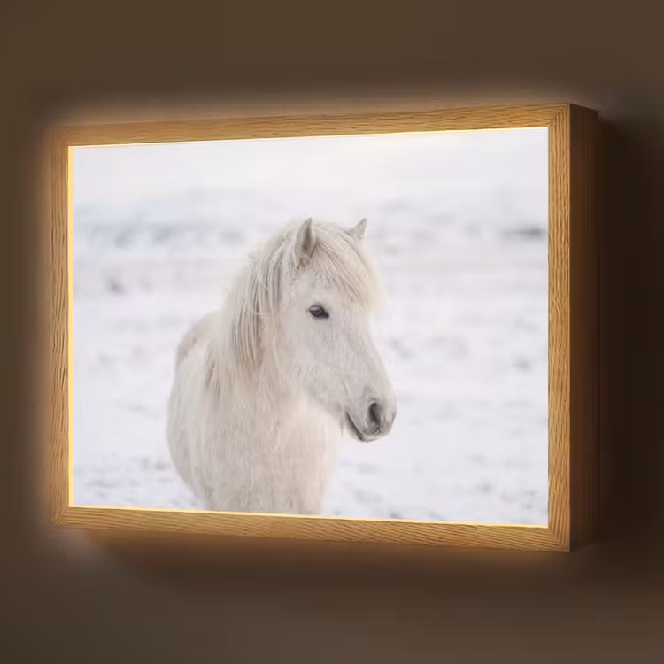Paard - Kop - Winter - Dieren - Wit Light Box met batterij (Wandlamp) middel -z3d_website