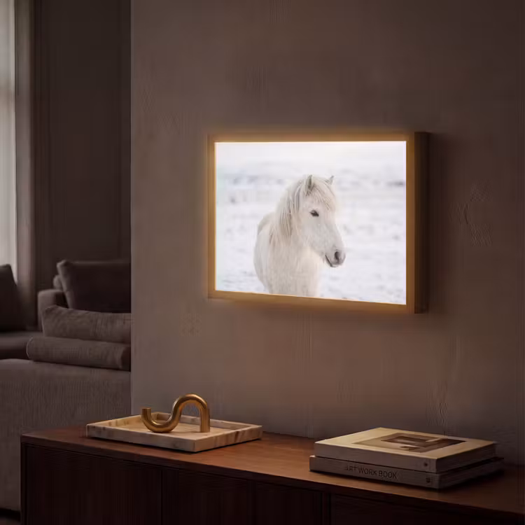Paard - Kop - Winter - Dieren - Wit Light Box met batterij (Wandlamp) middel -sfeer1