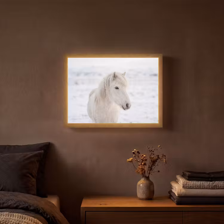 Paard - Kop - Winter - Dieren - Wit Light Box met batterij (Wandlamp) middel -sfeer4