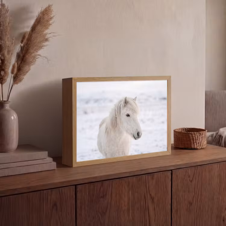 Paard - Kop - Winter - Dieren - Wit Light Box met batterij (Wandlamp) middel -sfeer2