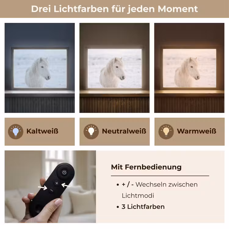 Paard - Kop - Winter - Dieren - Wit Light Box met batterij (Wandlamp) middel -USP_lichtkleurDE