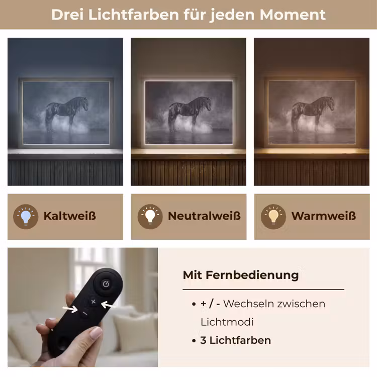 Paard - Magisch - Zwart Light Box met batterij (Wandlamp) middel -USP_lichtkleurDE