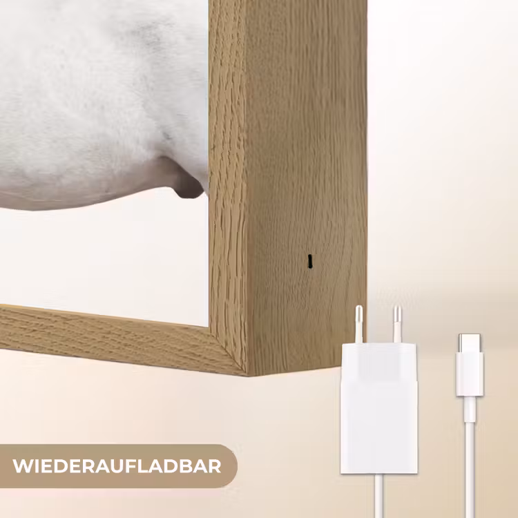 Paard - Modern - Balans Light Box met batterij (Wandlamp) middel -USP_websiteoplaadbaarDE