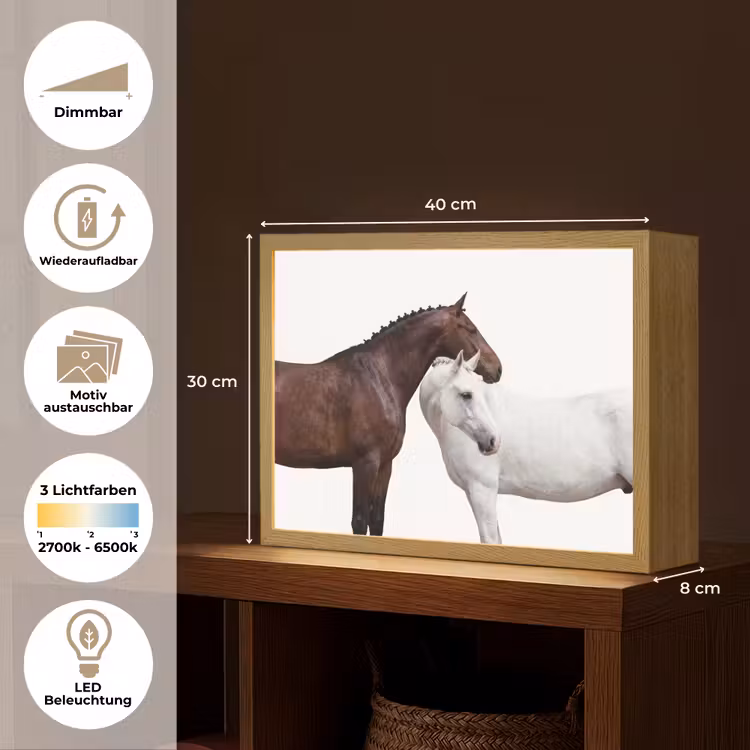 Paard - Modern - Balans Light Box met batterij (Wandlamp) middel -USP_websiteoverzichtDE