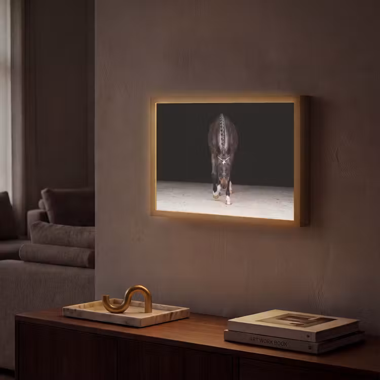 Paard - Modern - Portret Light Box met batterij (Wandlamp) middel -sfeer1
