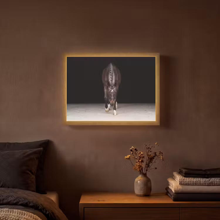 Paard - Modern - Portret Light Box met batterij (Wandlamp) middel -sfeer4
