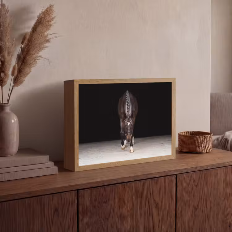 Paard - Modern - Portret Light Box met batterij (Wandlamp) middel -sfeer2