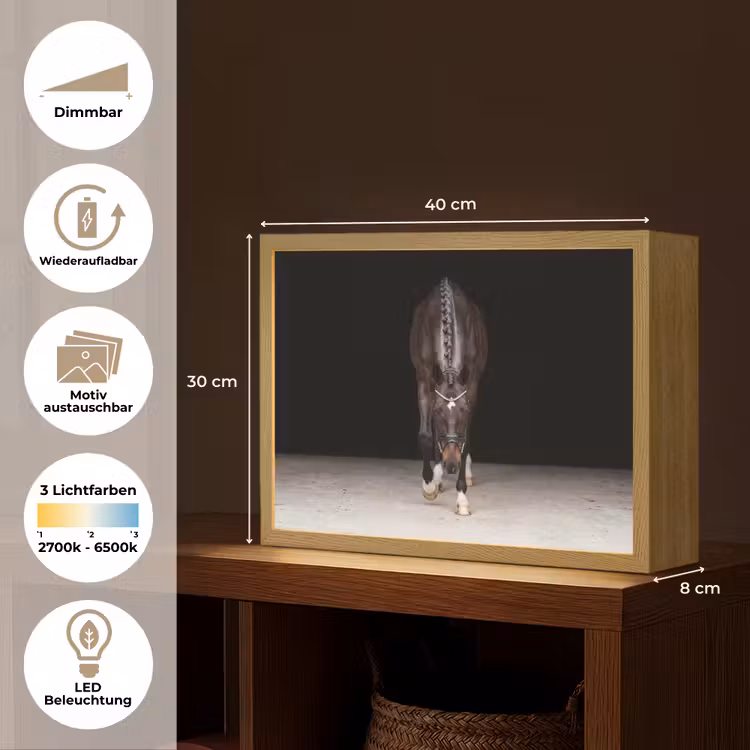 Paard - Modern - Portret Light Box met batterij (Wandlamp) middel -USP_websiteoverzichtDE
