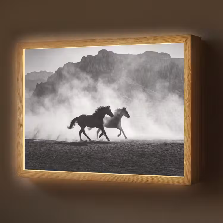 Paard - Ren - Stof - Zwart-wit - Dieren Light Box met batterij (Wandlamp) middel -z3d_website