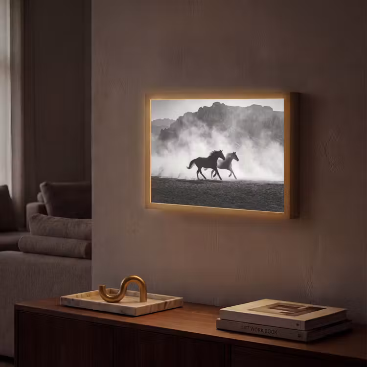 Paard - Ren - Stof - Zwart-wit - Dieren Light Box met batterij (Wandlamp) middel -sfeer1