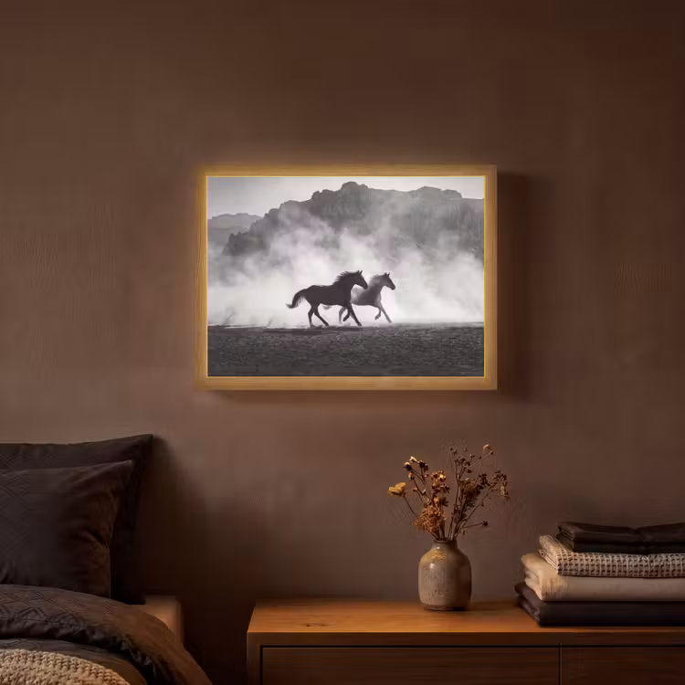 Paard - Ren - Stof - Zwart-wit - Dieren Light Box met batterij (Wandlamp) middel -sfeer4