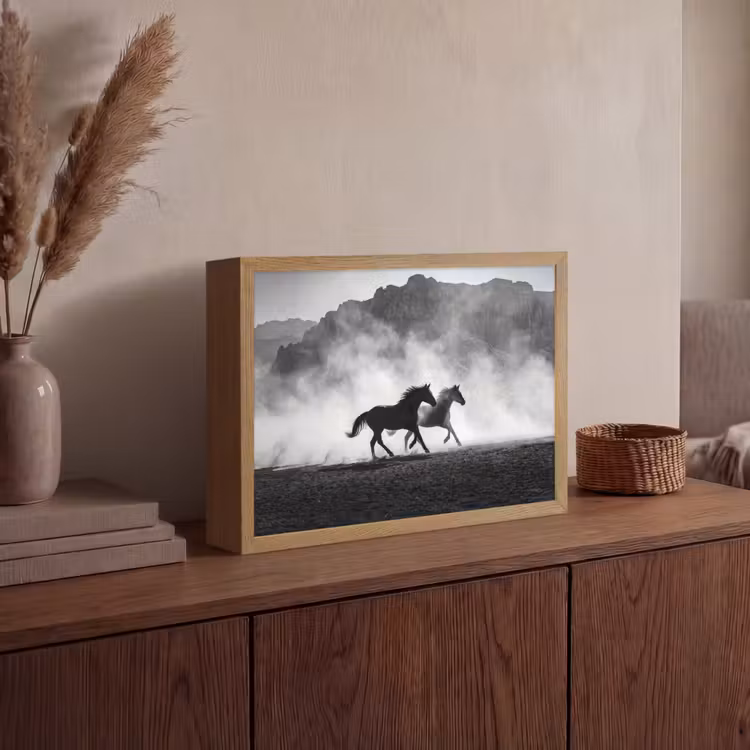Paard - Ren - Stof - Zwart-wit - Dieren Light Box met batterij (Wandlamp) middel -sfeer2