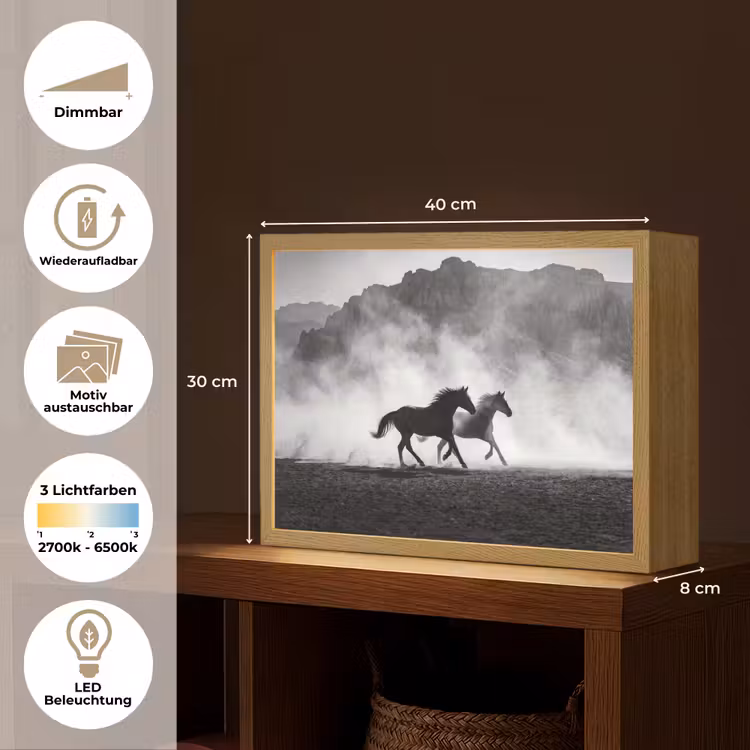 Paard - Ren - Stof - Zwart-wit - Dieren Light Box met batterij (Wandlamp) middel -USP_websiteoverzichtDE