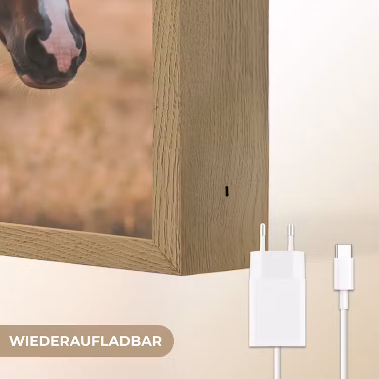 Paard - Zonsondergang - Bruin Light Box met batterij (Wandlamp) middel -USP_websiteoplaadbaarDE