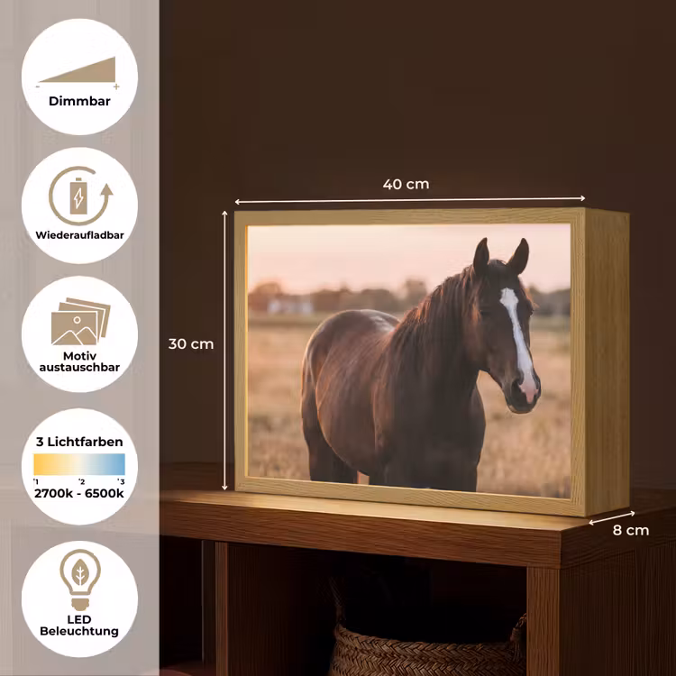 Paard - Zonsondergang - Bruin Light Box met batterij (Wandlamp) middel -USP_websiteoverzichtDE