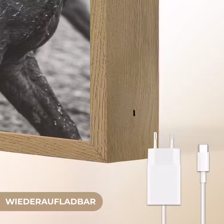 Paard - Sport - Zwart - Wit Light Box met batterij (Wandlamp) middel -USP_websiteoplaadbaarDE