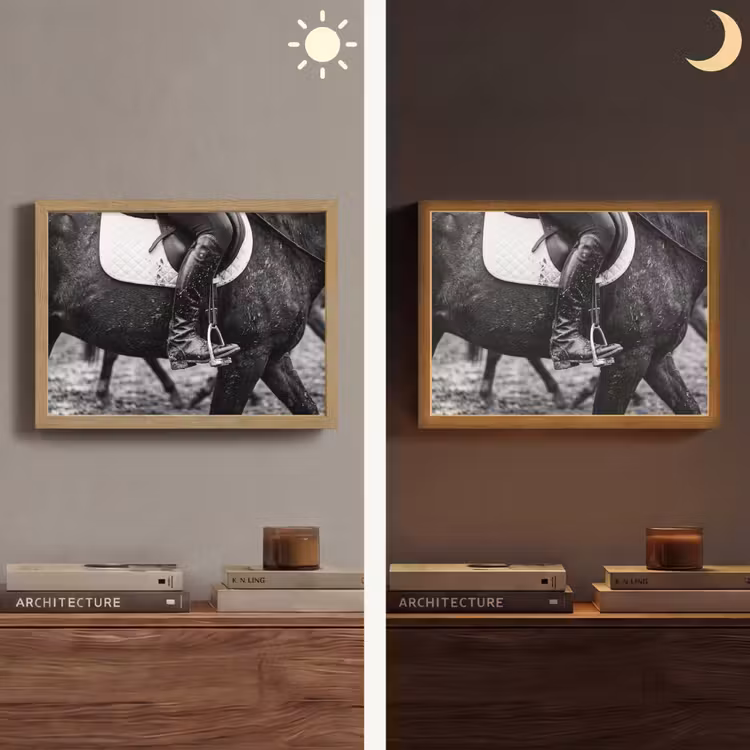 Paard - Sport - Zwart - Wit Light Box met batterij (Wandlamp) middel -sfeer3