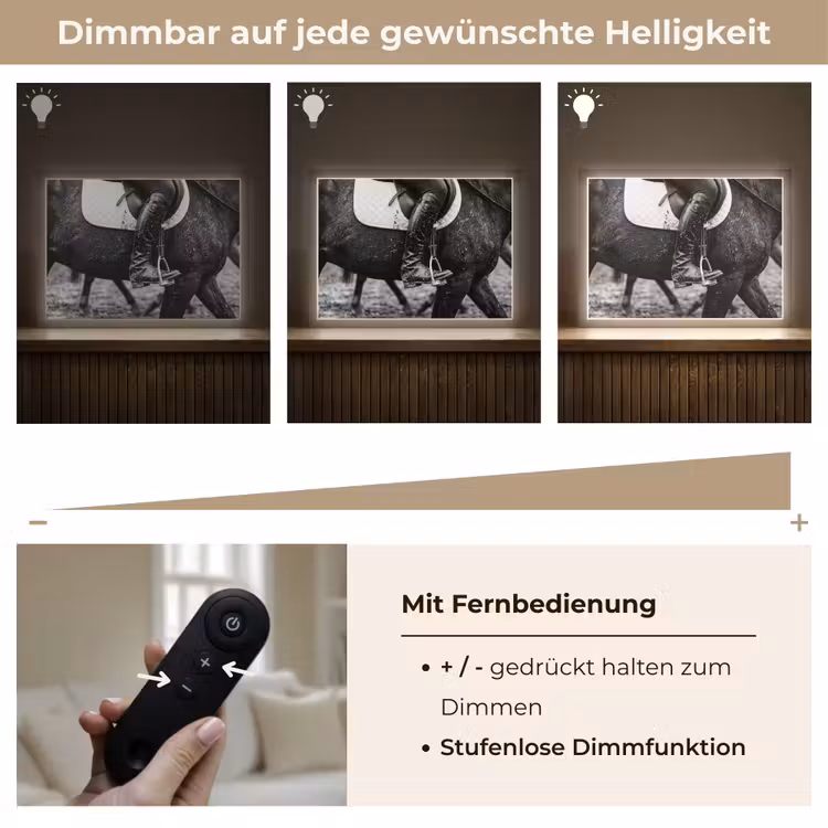 Paard - Sport - Zwart - Wit Light Box met batterij (Wandlamp) middel -USP_dimbaarDE