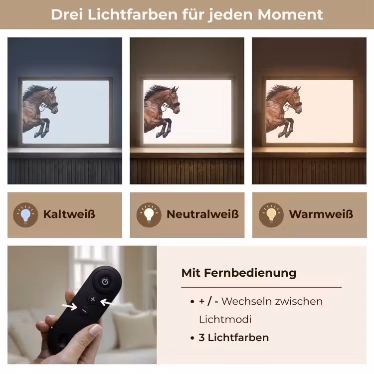 Paard - Springen - Modern Light Box met batterij (Wandlamp) middel -USP_lichtkleurDE