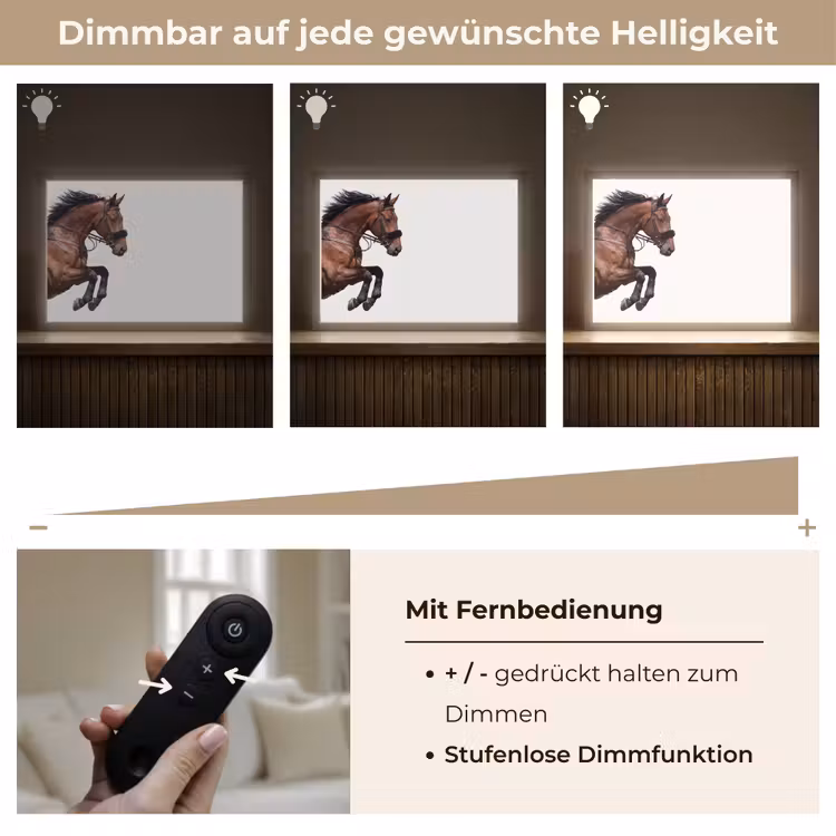 Paard - Springen - Modern Light Box met batterij (Wandlamp) middel -USP_dimbaarDE