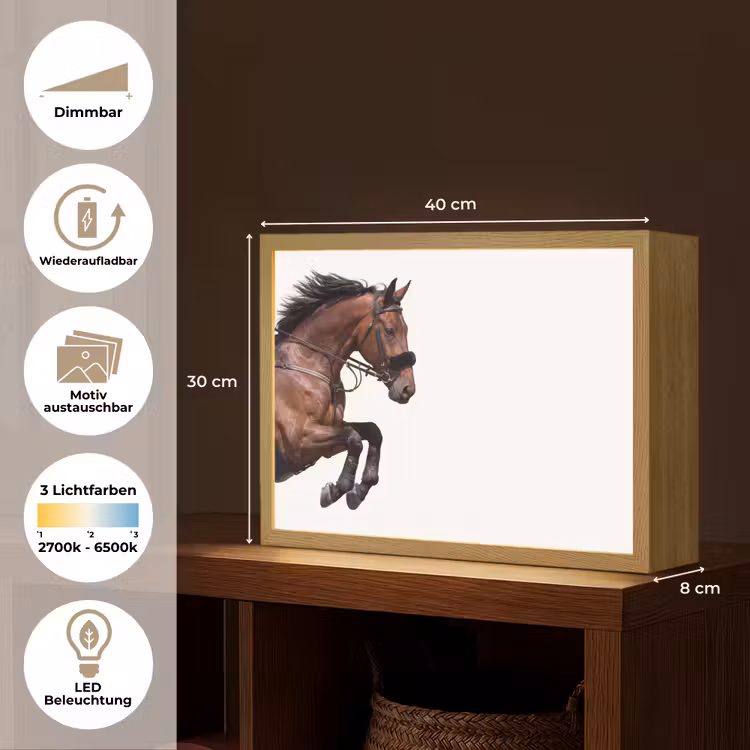 Paard - Springen - Modern Light Box met batterij (Wandlamp) middel -USP_websiteoverzichtDE