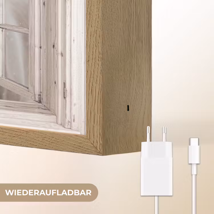 Paard - Wit - Winter - Sneeuw - Doorkijk - Dieren Light Box met batterij (Wandlamp) middel -USP_websiteoplaadbaarDE
