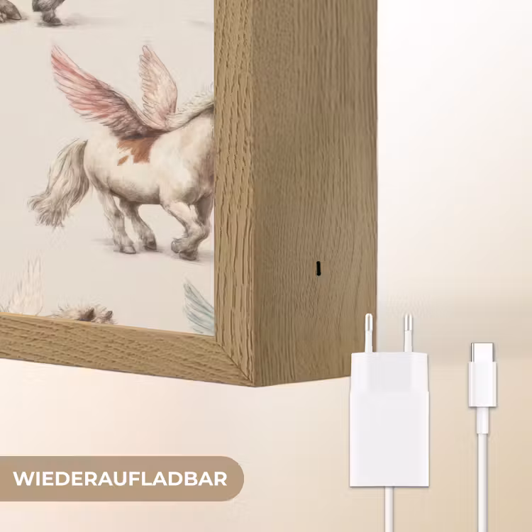 Paarden - Vleugels - Kleurrijk Light Box met batterij (Wandlamp) middel 907 -USP_websiteoplaadbaarDE