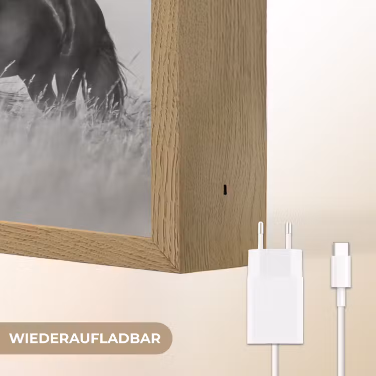 Paarden - Gras - Zwart - Wit Light Box met batterij (Wandlamp) middel -USP_websiteoplaadbaarDE