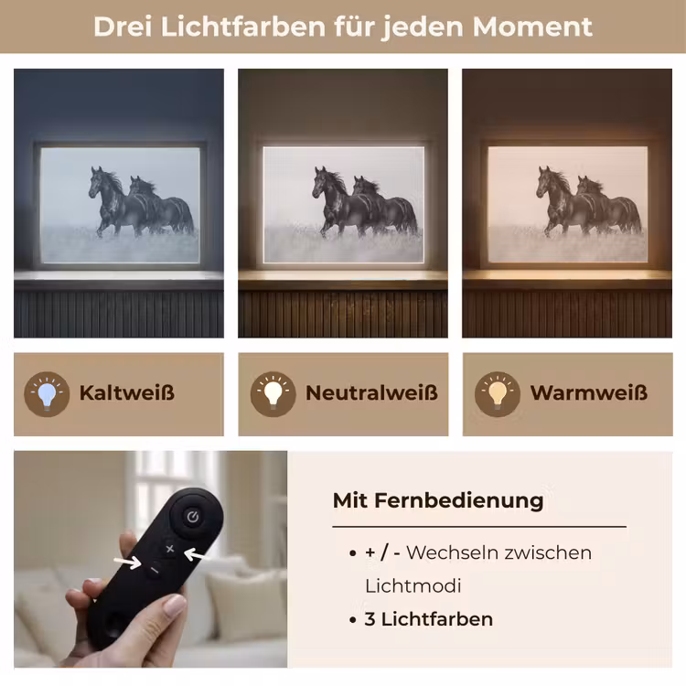 Paarden - Gras - Zwart - Wit Light Box met batterij (Wandlamp) middel -USP_lichtkleurDE