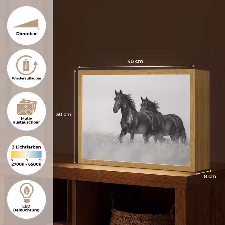 Paarden - Gras - Zwart - Wit Light Box met batterij (Wandlamp) middel -USP_websiteoverzichtDE