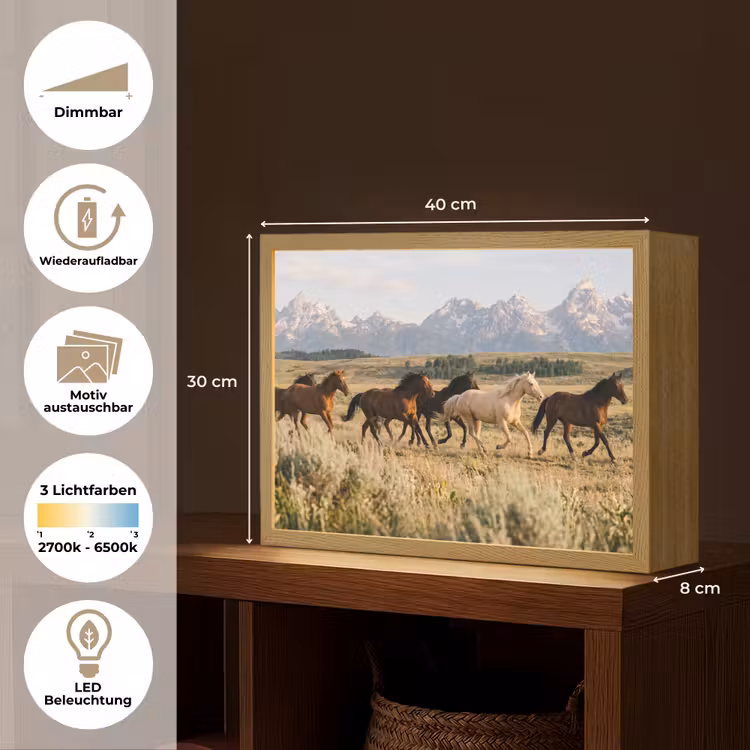 Paarden - Kudde - Bergen - Vrijheid - Wild Light Box met batterij (Wandlamp) middel -USP_websiteoverzichtDE