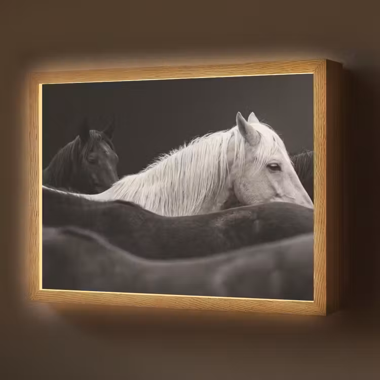 Paarden - Zwart - Wit - Kudde Light Box met batterij (Wandlamp) middel -z3d_website