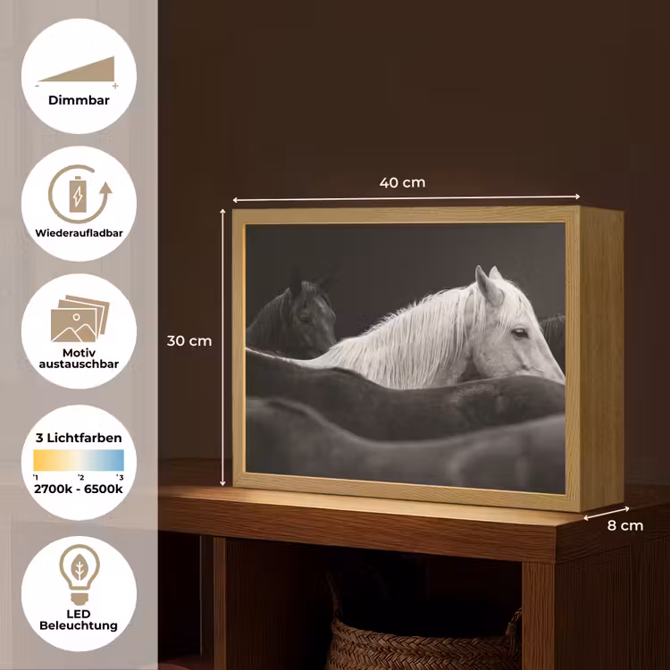 Paarden - Zwart - Wit - Kudde Light Box met batterij (Wandlamp) middel -USP_websiteoverzichtDE
