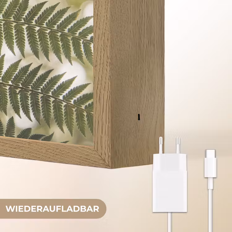 Plant - Blad - Natuur - Groen - Detail Light Box met batterij (Wandlamp) middel -USP_websiteoplaadbaarDE