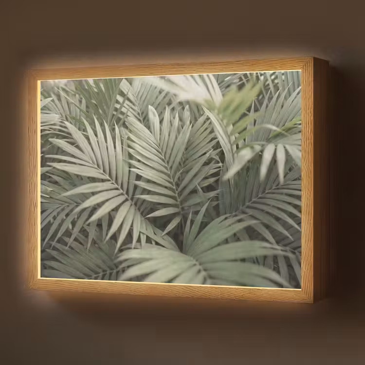Plant - Palmbladeren - Natuur - Groen Light Box met batterij (Wandlamp) middel -z3d_website