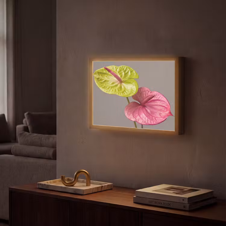 Planten - Anthurium - Groen - Roze Light Box met batterij (Wandlamp) middel -sfeer1