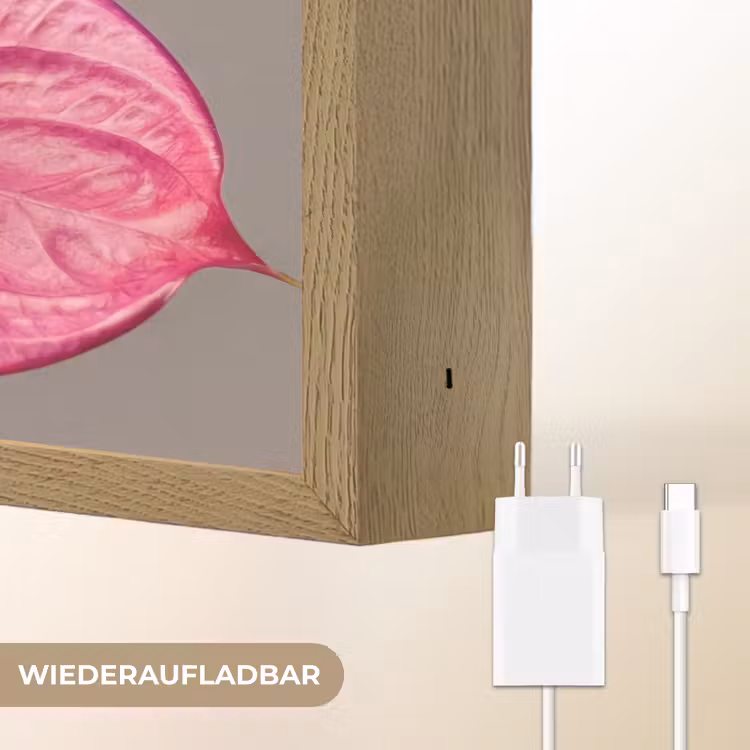 Planten - Anthurium - Groen - Roze Light Box met batterij (Wandlamp) middel -USP_websiteoplaadbaarDE