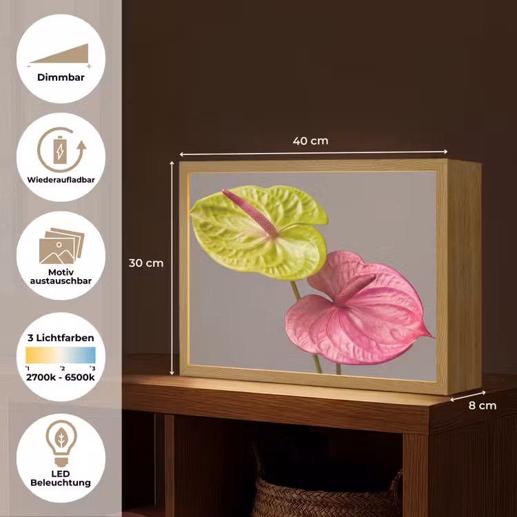 Planten - Anthurium - Groen - Roze Light Box met batterij (Wandlamp) middel -USP_websiteoverzichtDE