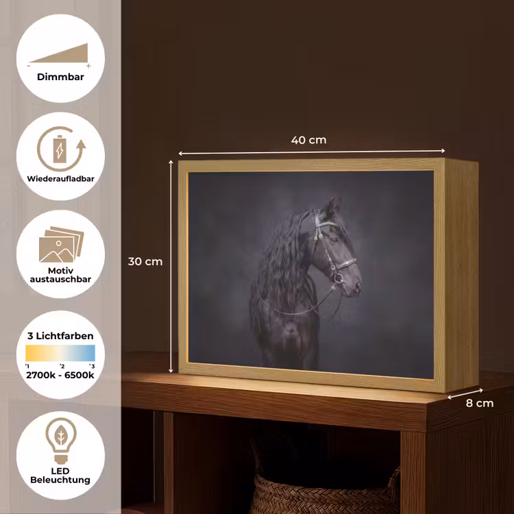 Portret - Paard - Donker Light Box met batterij (Wandlamp) middel -USP_websiteoverzichtDE