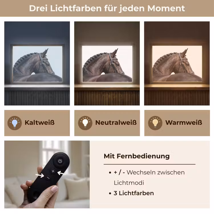 Portret - Paard - Elegant Light Box met batterij (Wandlamp) middel -USP_lichtkleurDE