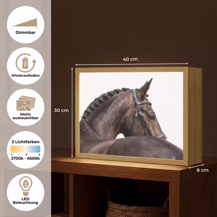 Portret - Paard - Elegant Light Box met batterij (Wandlamp) middel -USP_websiteoverzichtDE