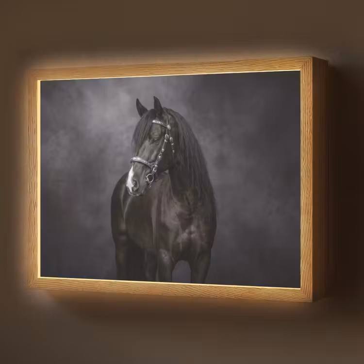 Portret - Paard - Zwart Light Box met batterij (Wandlamp) middel -z3d_website