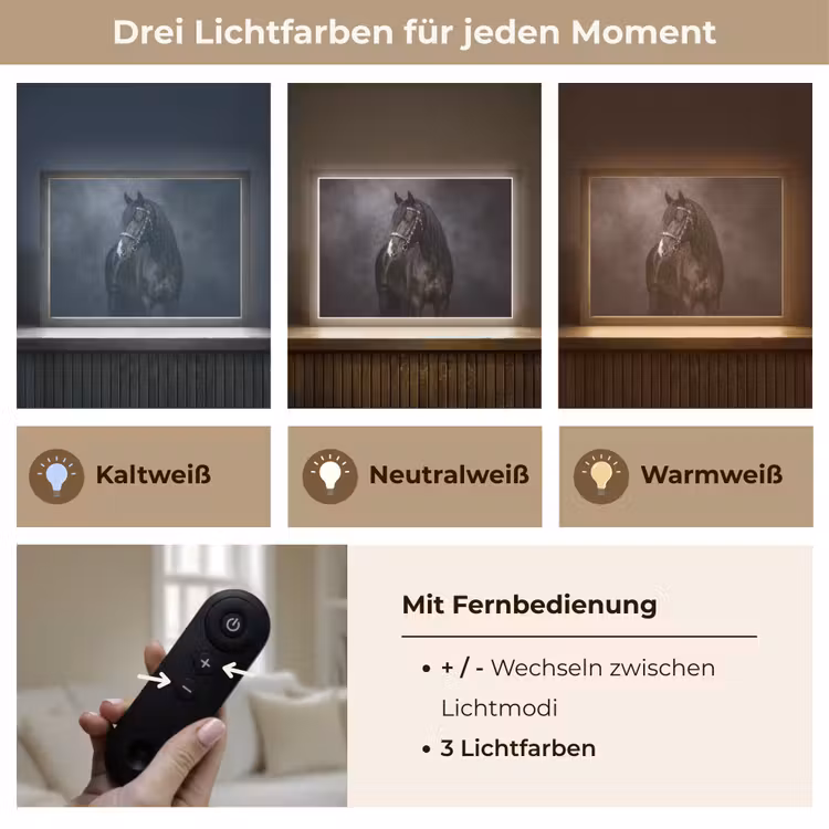 Portret - Paard - Zwart Light Box met batterij (Wandlamp) middel -USP_lichtkleurDE