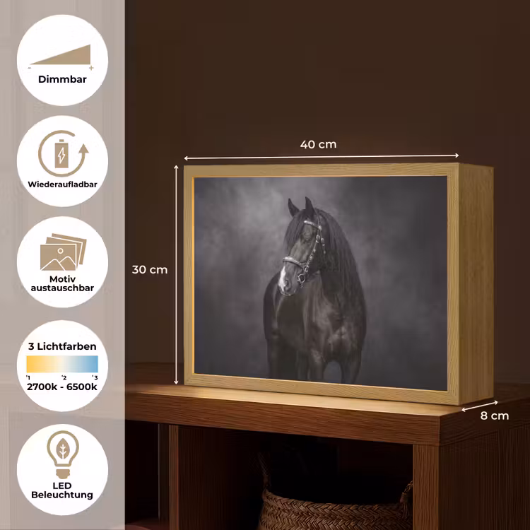 Portret - Paard - Zwart Light Box met batterij (Wandlamp) middel -USP_websiteoverzichtDE