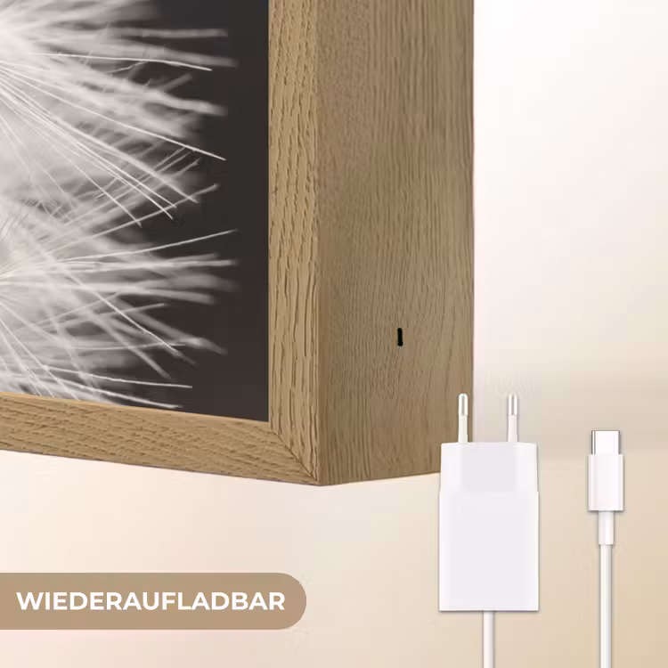 Paardenbloem - Zwart - Wit Light Box met batterij (Wandlamp) middel -USP_websiteoplaadbaarDE