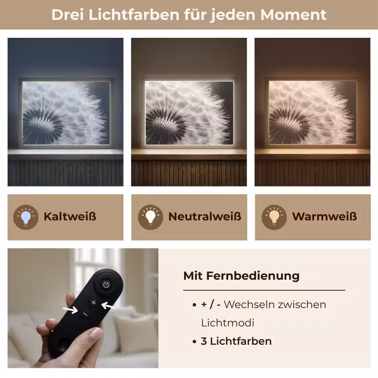 Paardenbloem - Zwart - Wit Light Box met batterij (Wandlamp) middel -USP_lichtkleurDE