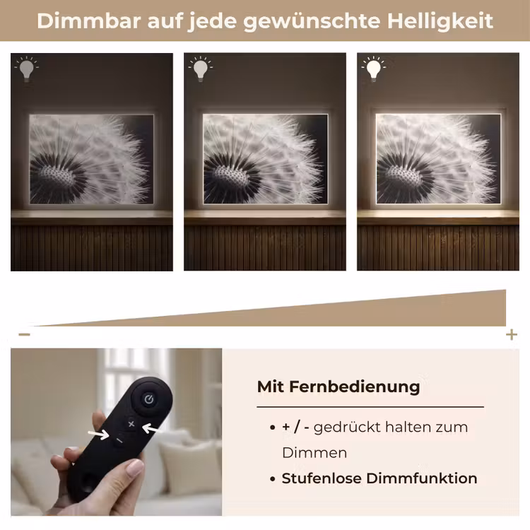 Paardenbloem - Zwart - Wit Light Box met batterij (Wandlamp) middel -USP_dimbaarDE