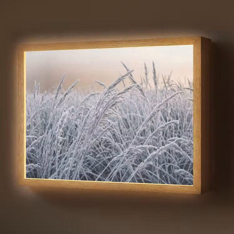 Rijp - Gras - Kristallen - Winter - Minimalistisch Light Box met batterij (Wandlamp) middel -z3d_website