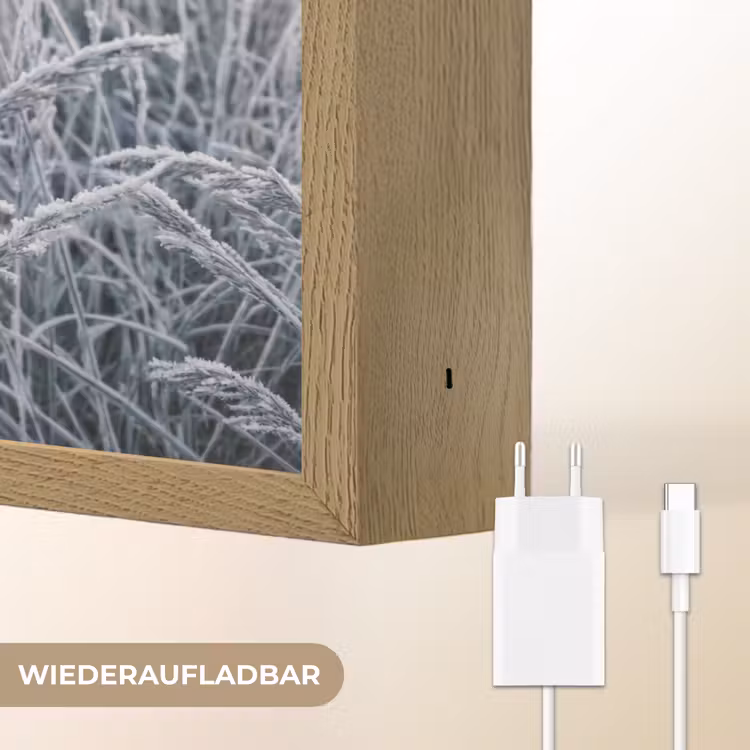 Rijp - Gras - Kristallen - Winter - Minimalistisch Light Box met batterij (Wandlamp) middel -USP_websiteoplaadbaarDE