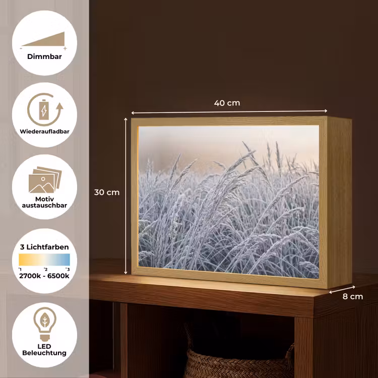 Rijp - Gras - Kristallen - Winter - Minimalistisch Light Box met batterij (Wandlamp) middel -USP_websiteoverzichtDE